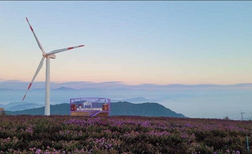 가을 꽃 축제 일정과 지역