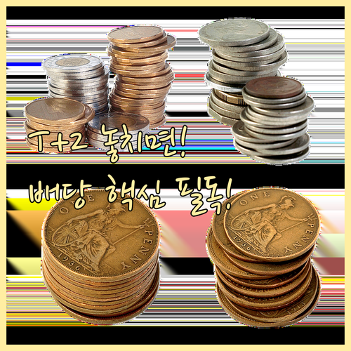 해외 주식 연말 배당 투자의 핵심 T..