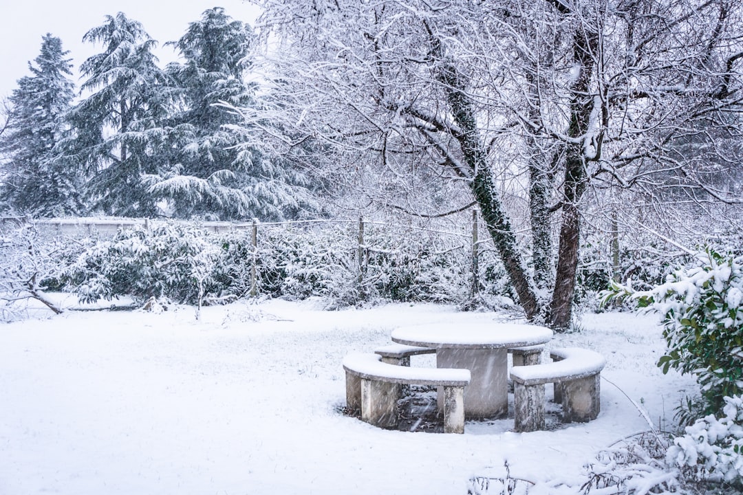 Winter Garden