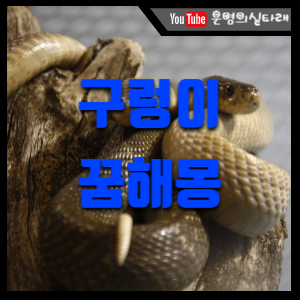 썸네일 사진