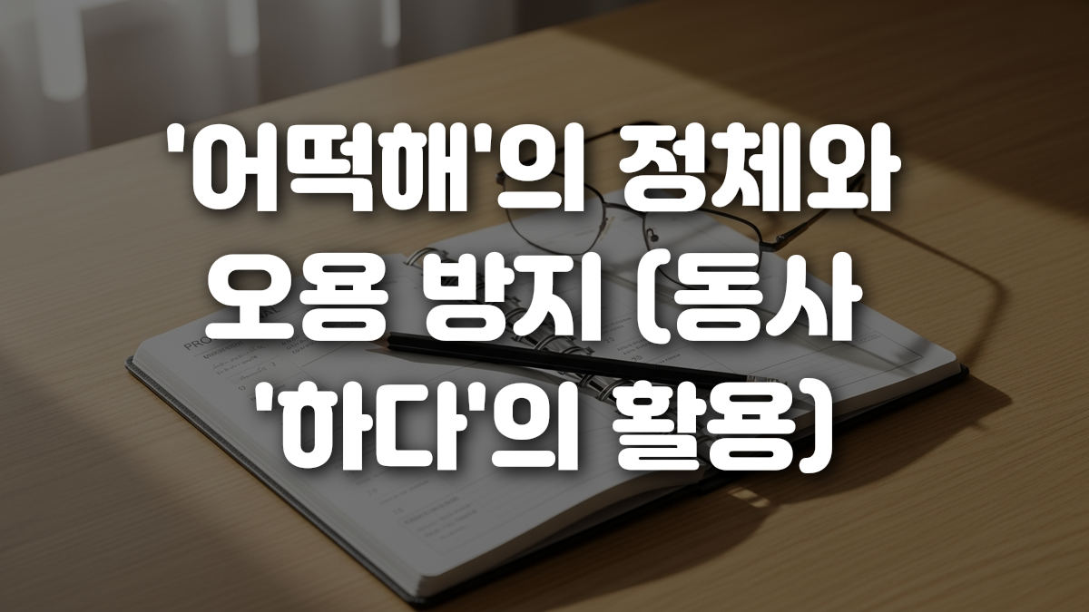 어떡해 의 정체와 오용 방지 동사 하다 의 활용