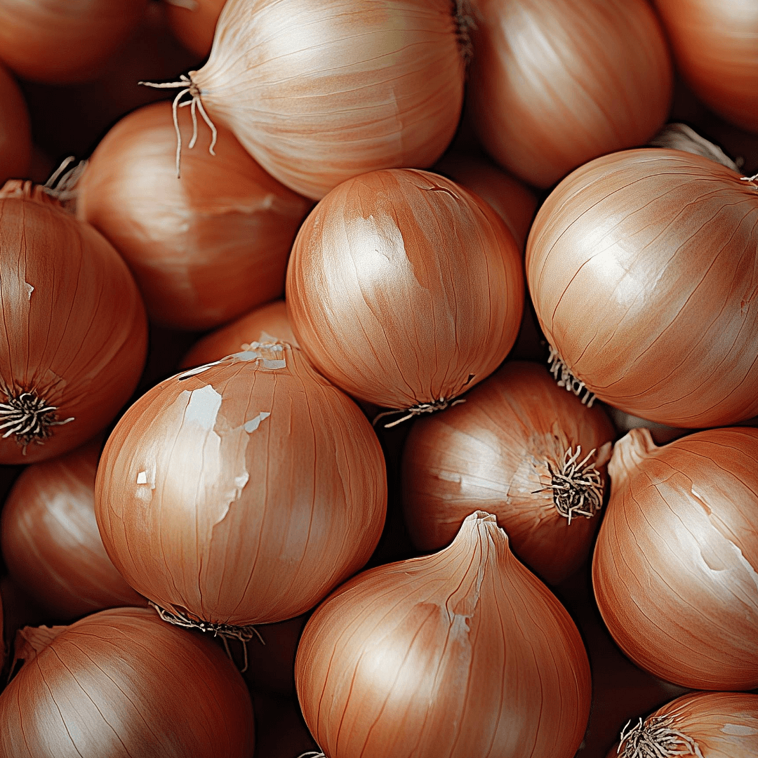 양파 효능 및 부작용