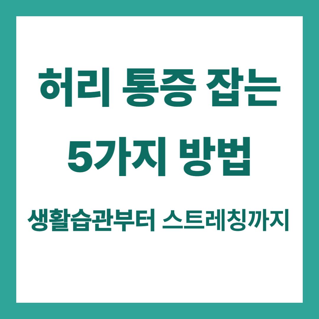 허리 통증 잡는 5가지 방법 – 생활습관부터 스트레칭까지 총정리