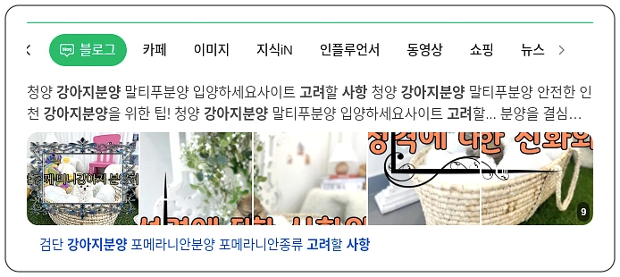 강아지 분양 고려 사항_1_subsection