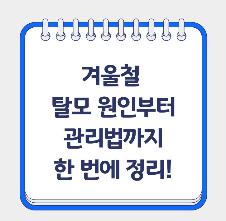 겨울철 탈모 원인부터 관리까지 총정리