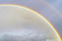 ISTP 유형 특징 분석