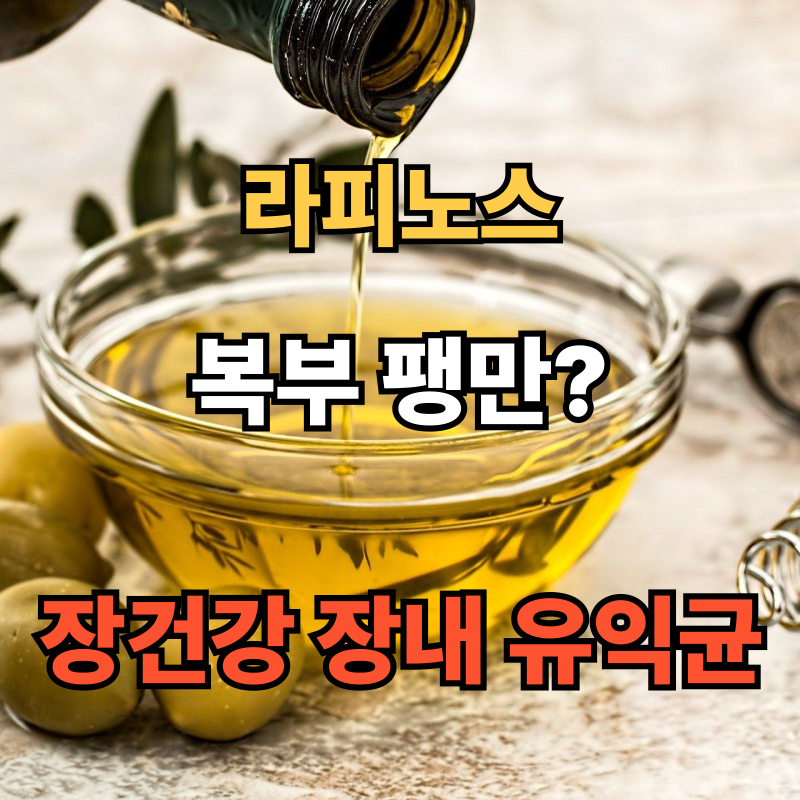 🌱 장 건강에 좋은 성분? 라피노스 효능과 부작용, 복용 팁 총정리!
