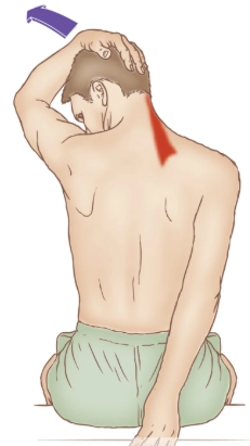 견갑거근 스트레칭