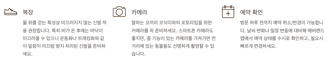 에버랜드 리버트레일 이용 꿀팁 총 정리 이미지