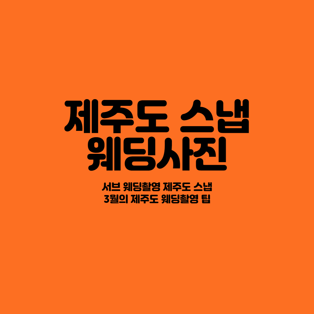 제주도 스냅 웨딩사진