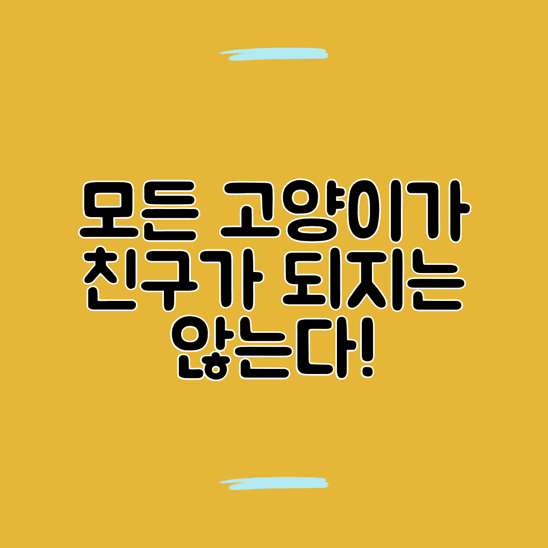 모든 고양이가 친구가 되지는 않는다!