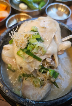 오늘N 식큐멘터리 3대째 잣삼계탕 서초구 맛집