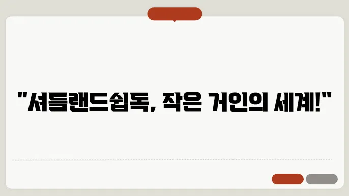 셔틀랜드쉽독 크기 알아보기