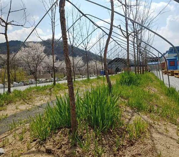 원주 자연생태원