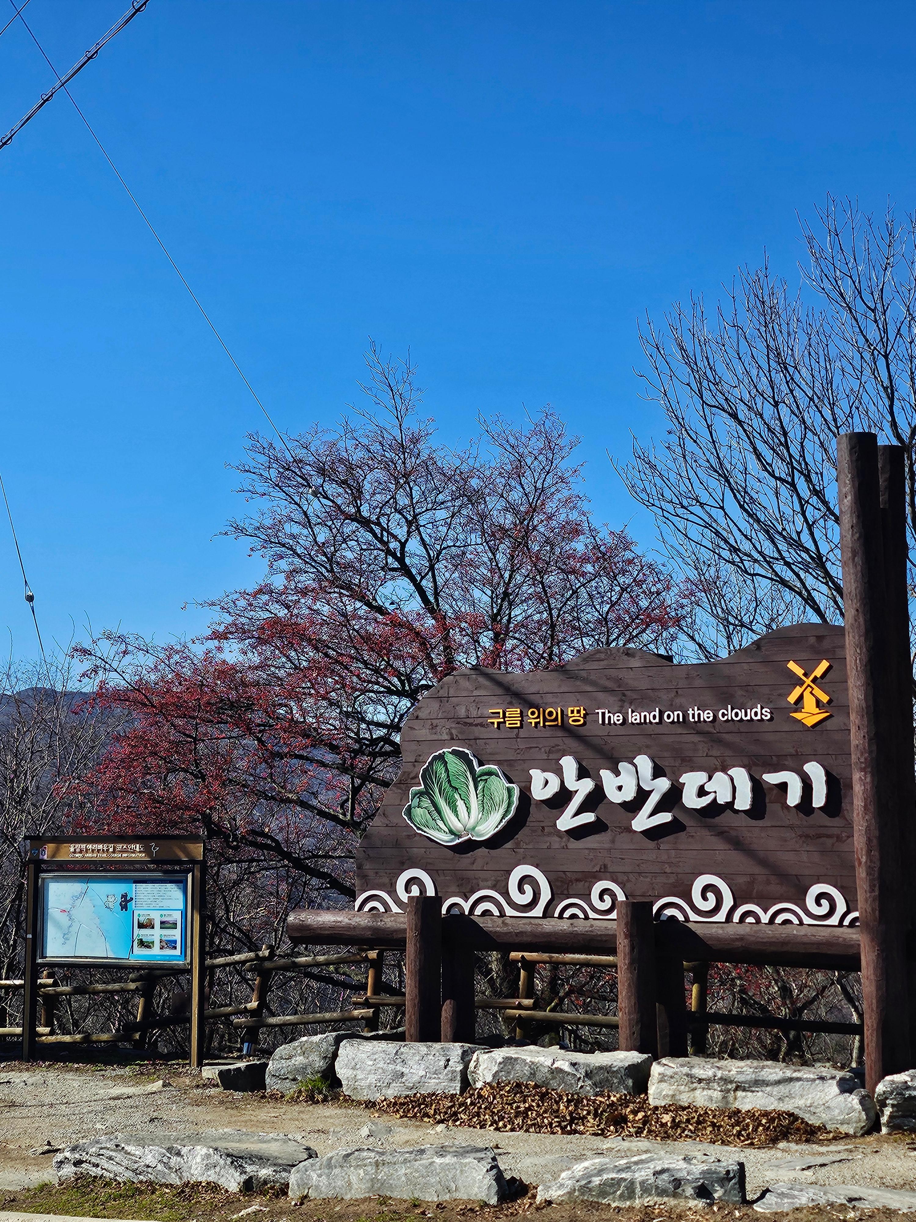 강릉 안반데기 입구 주차장 화장실