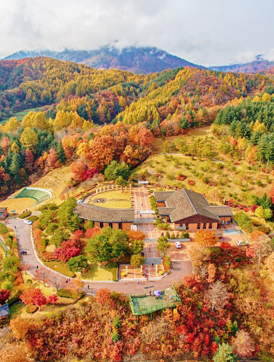 평창 가볼만한곳