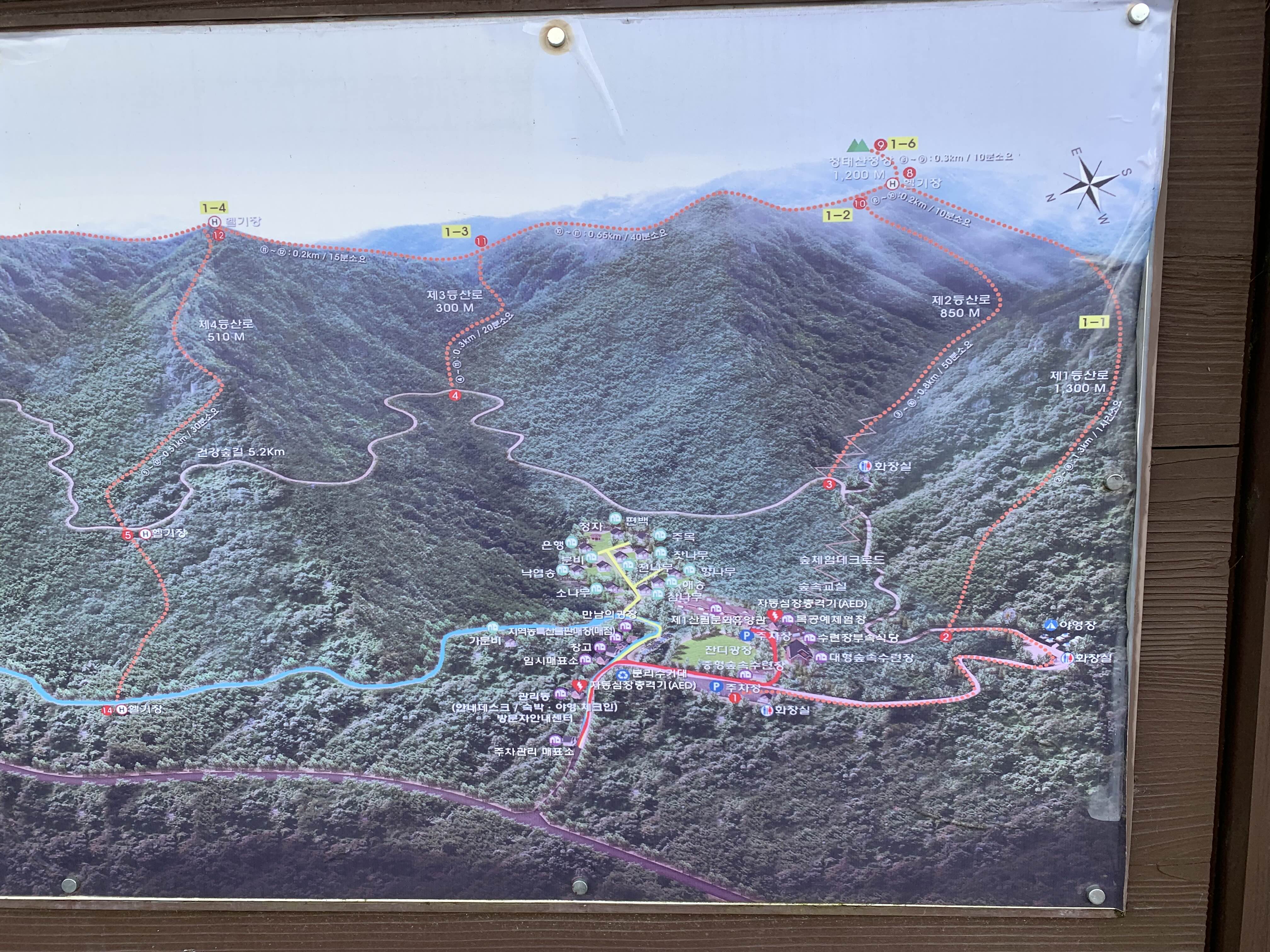 횡성 여행 청태산 자연휴양림