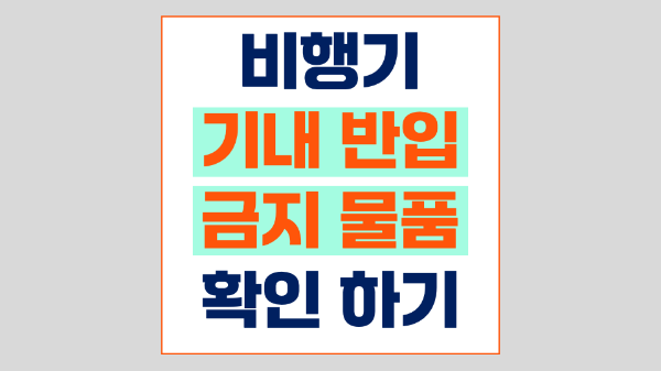 비행기-반입-금지-물품-생수-음료-젤리-물티슈-의약품-슬라임-액체류-기내-반입-금지-품목