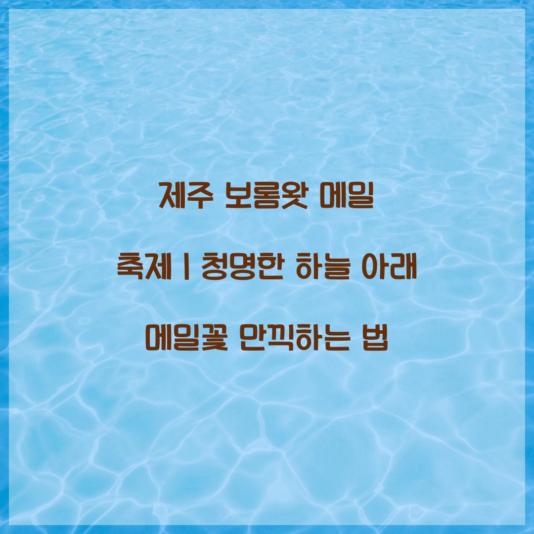 제주 보롬왓 메밀 축제