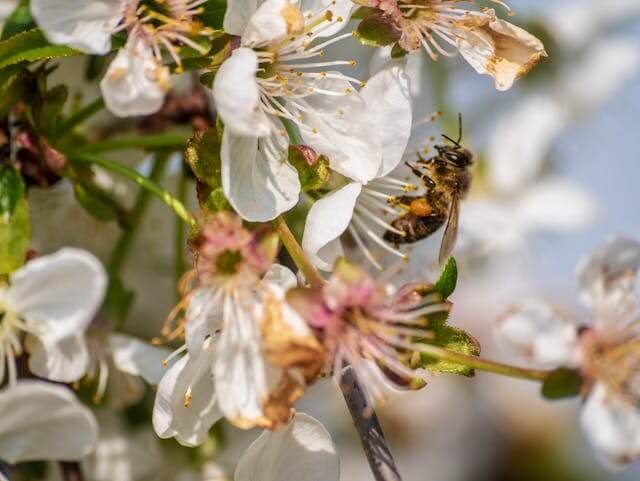 벌레 나오는 꿈, 스트레스 해소의 신호