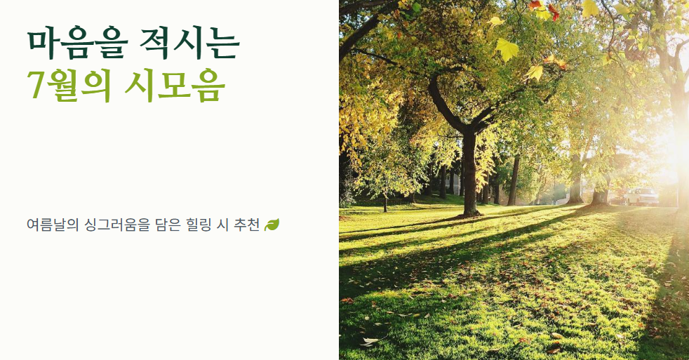 7월의 시모음