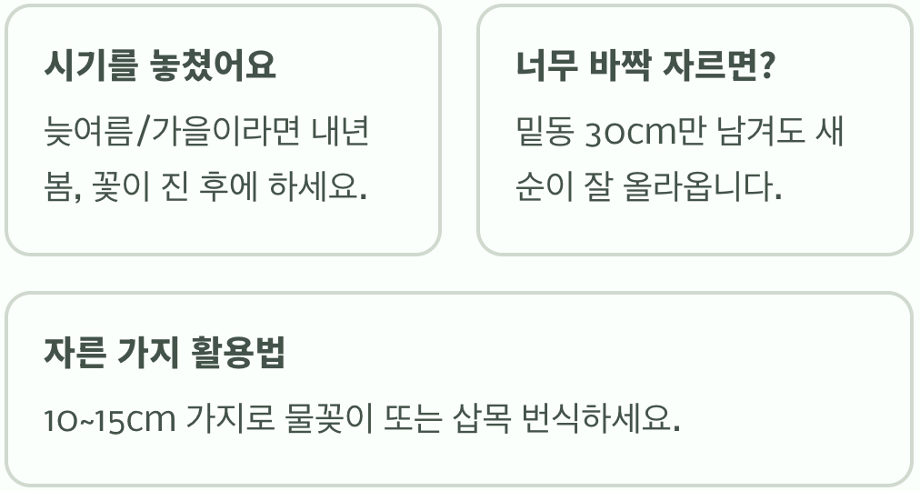 공조팝나무 가지치기, 잘못 자르면 내년에 꽃 한 송이도 못 봅니다!