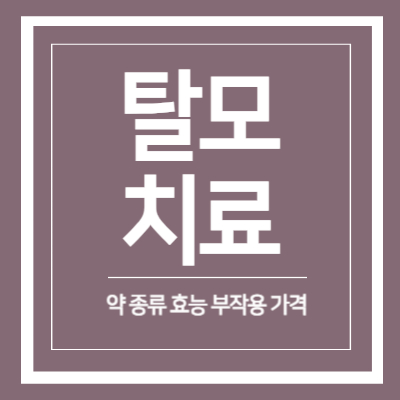 탈모 치료 약 종류 효능 부작용 가격