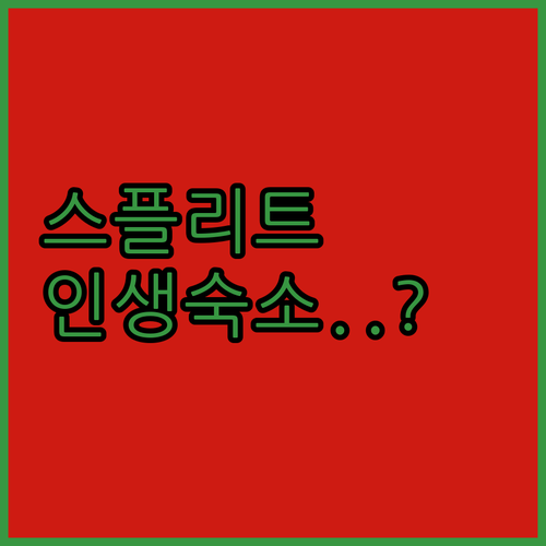 스플리트 자유여행 숙소 베스트 5곳 ..