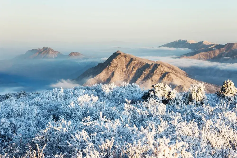 태백산 국립공원 