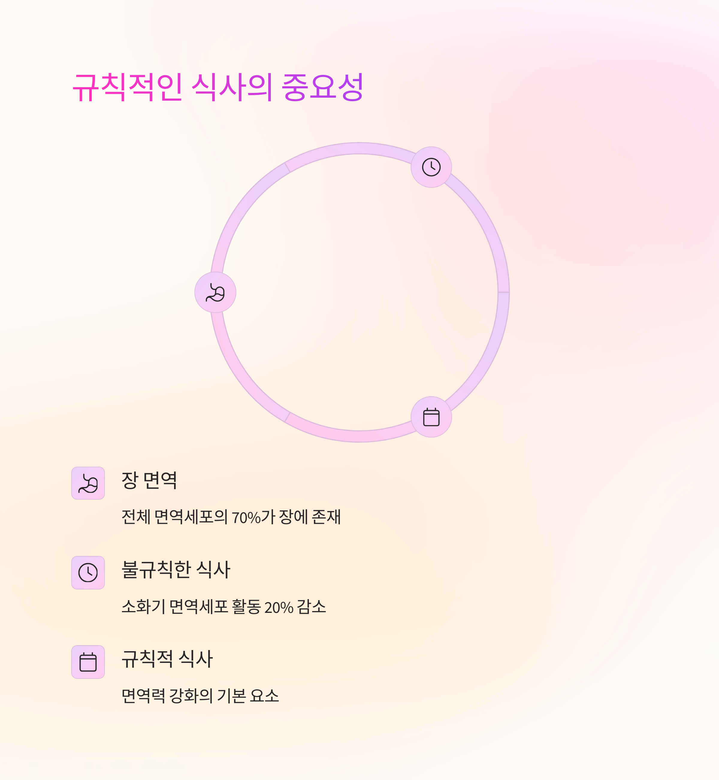 규칙적인 식사의 중요성