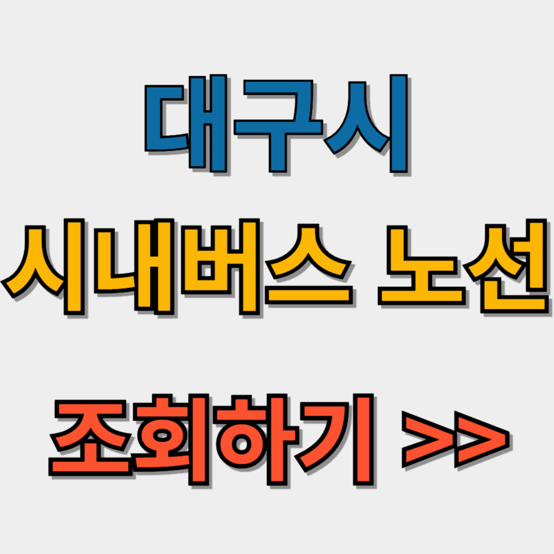 대구시내버스 노선 조회 및 개편