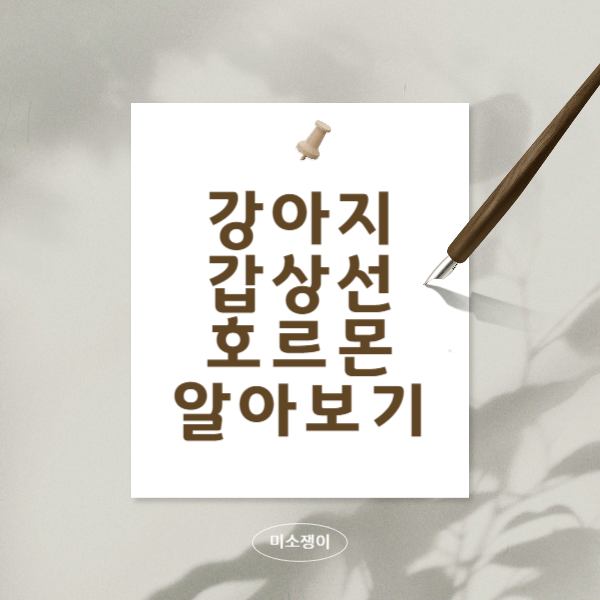 강아지-갑상선-호르몬-저하증과-항진증-쉽게-알아보기