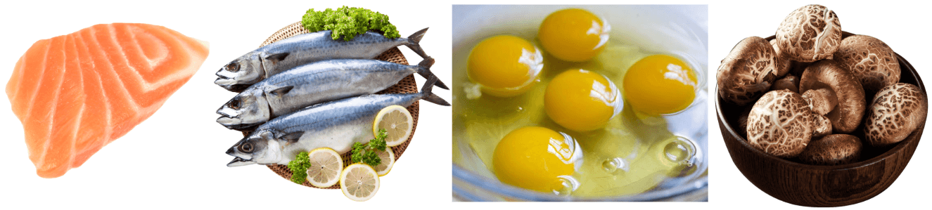 연어-고등어-계란노른자-버섯