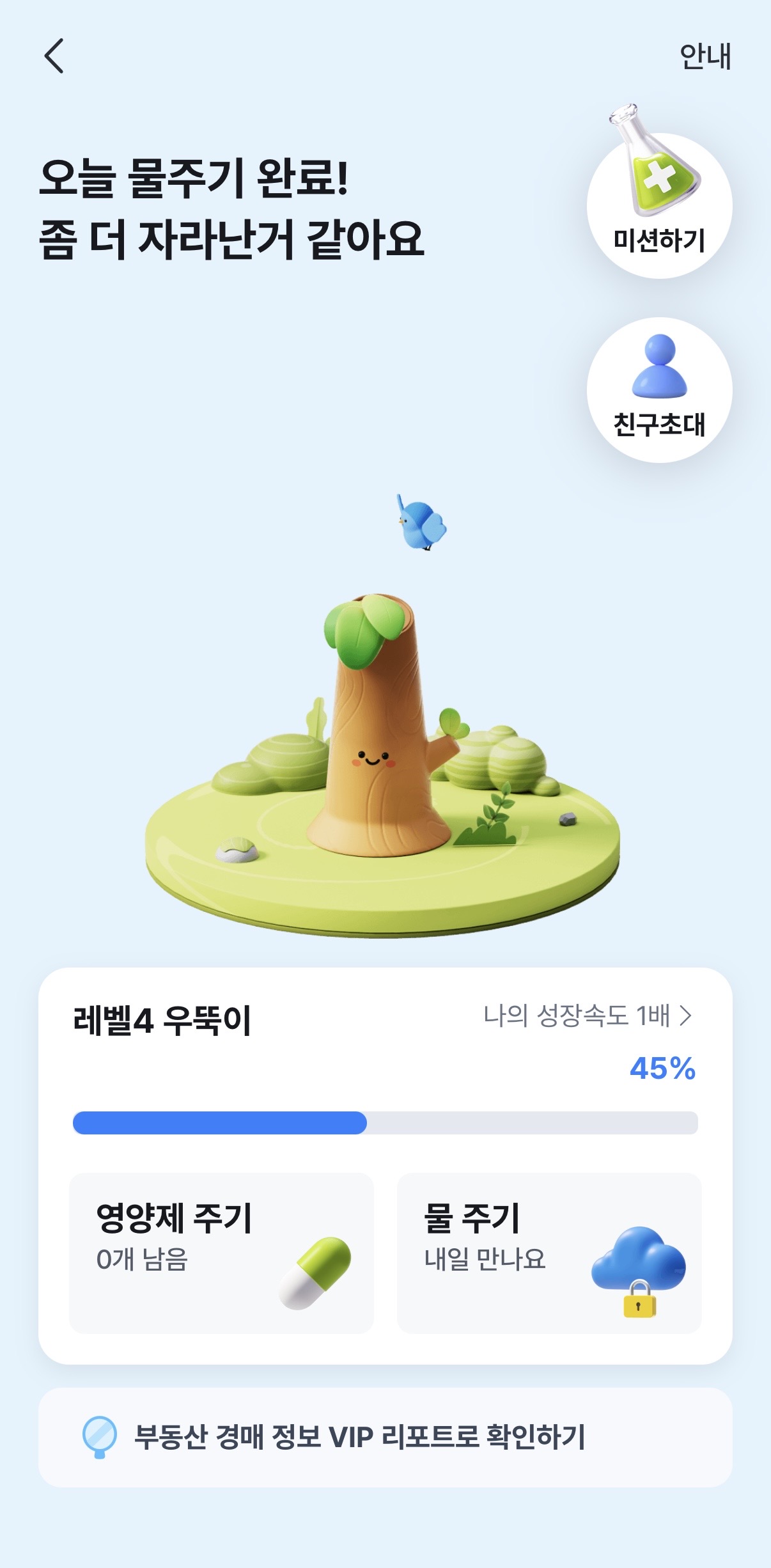 케이뱅크 돈나무 키우기