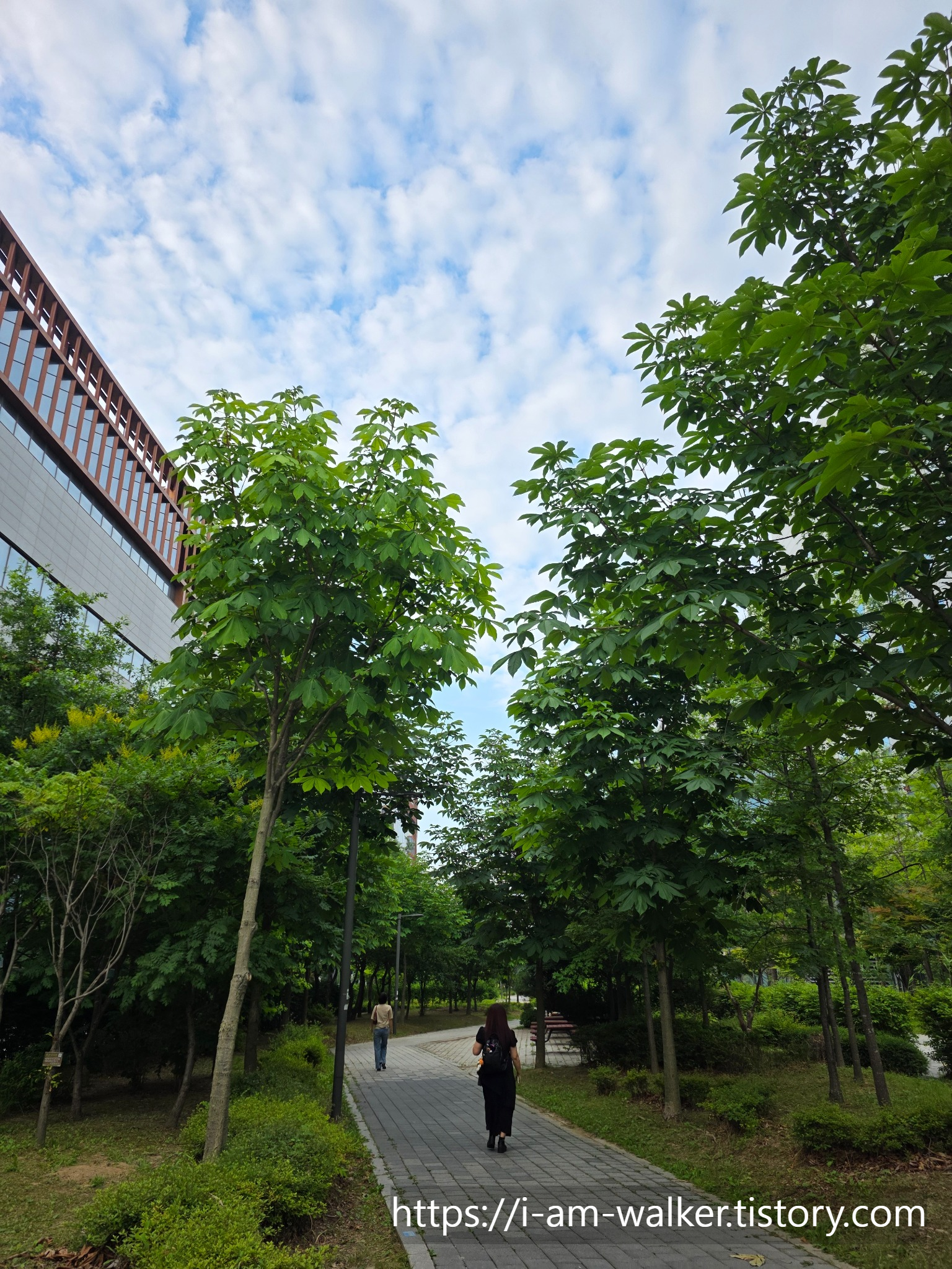 서울 여름 산책 코스 마곡 LG사이언스파크 추천