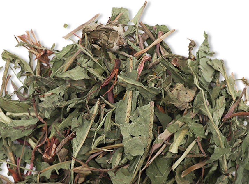 야생에서 채취를 한 민들레를 깨끗하게 세척을 한 후에 건조시킨 것을 하얀 바닥 위에 넓게 펼쳐서 놓아둔 후에 찍은 사진