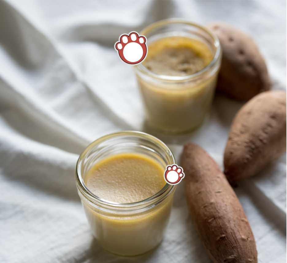 강아지 구토