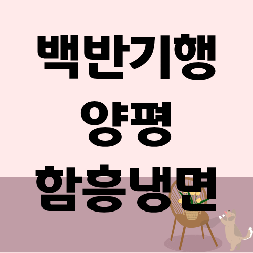 백반기행 양평 함흥냉면 박소담