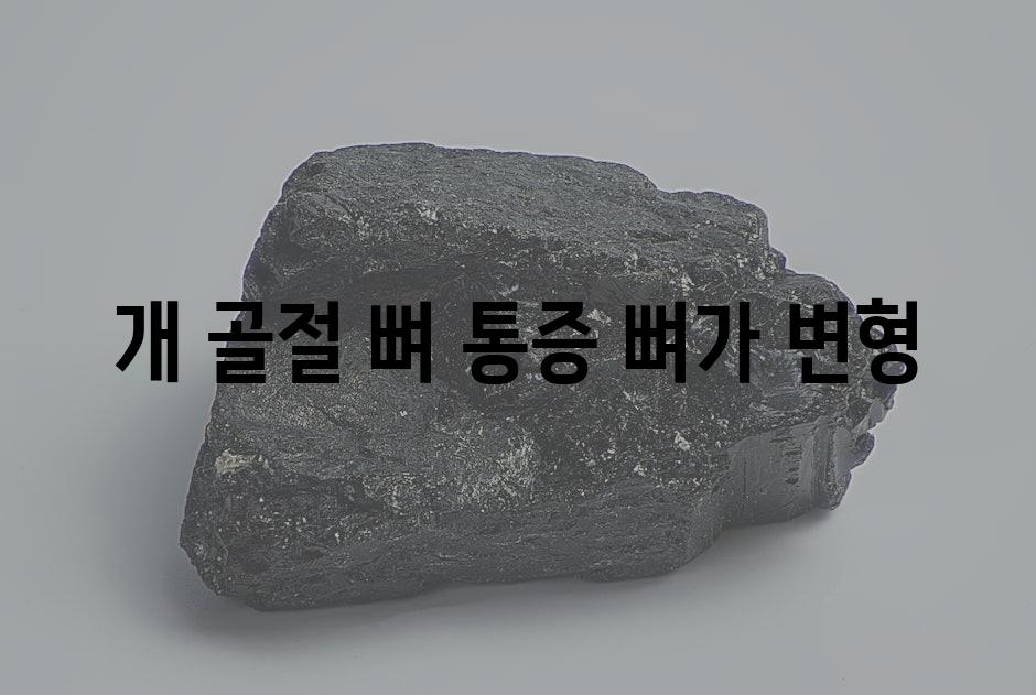 개 골절 뼈 통증 뼈가 변형