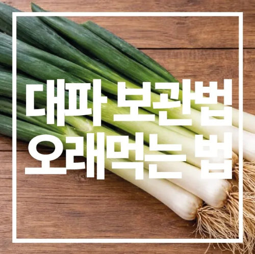 대파 보관법 및 오래 먹는 방법