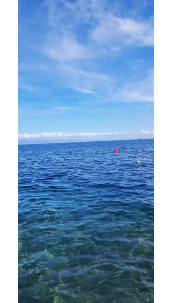 필리핀 보홀여행 패키지 여행 필수 코스_14