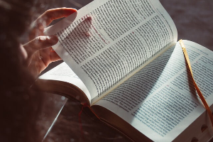 운전면허증 갱신 준비물, 과태료