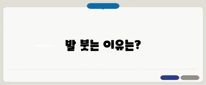 발이 붓는 이유 정리 혈액순환 문제나 신장 질환 가능성