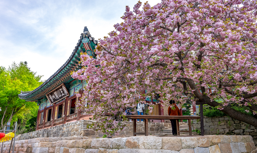 개심사