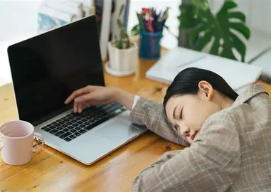 나른함에 꾸벅꾸벅