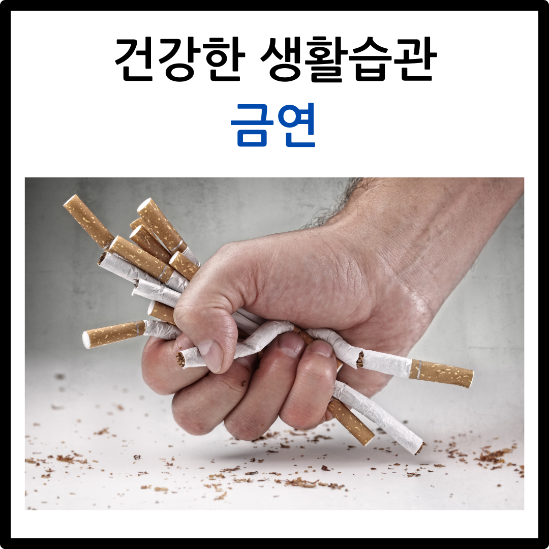 노화와 당뇨병: 건강한 생활습관으로 뇌 노화 방지하기