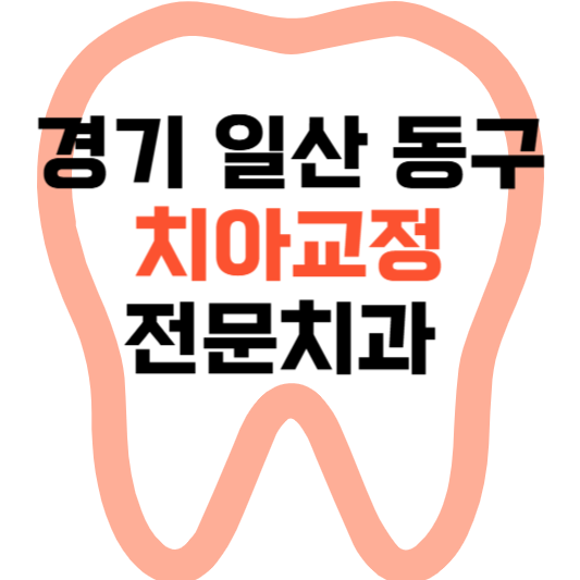 경기 일산 동구 치아교정 치과 잘하는 곳 전문 치과 추천 가격 비용.png