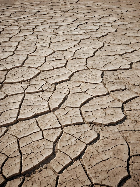 열사병의 증상 관련 이미지