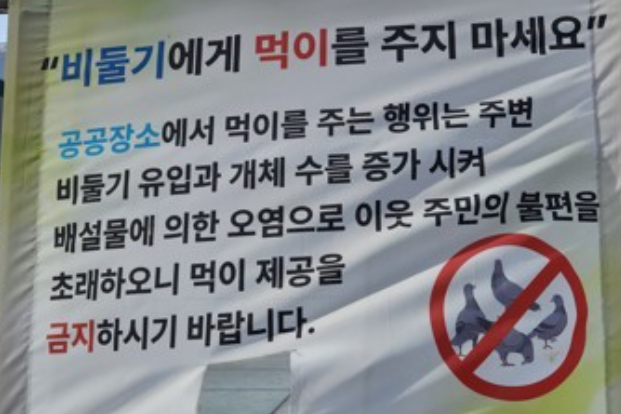 비둘기에게 먹이를 주지 마세요