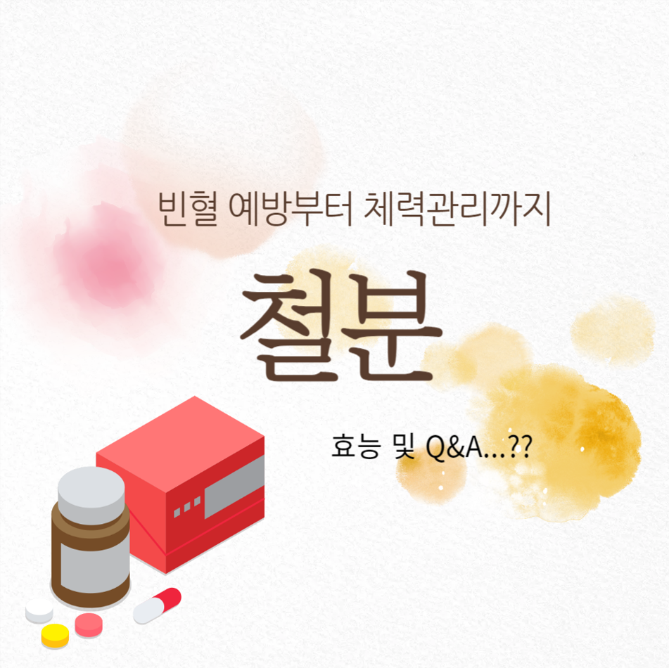 철분 영양제 복용의 중요성: 빈혈 예방부터 체력 관리까지